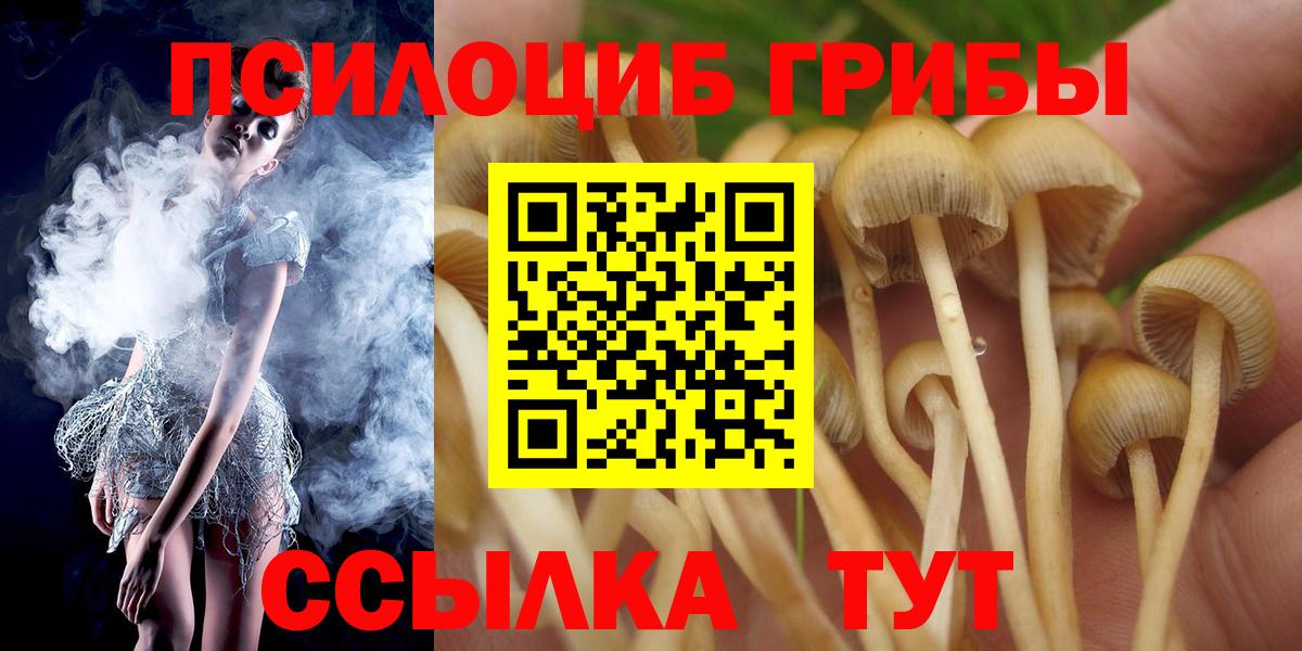 Псилоцибиновые грибы Psilocybe Кимовск