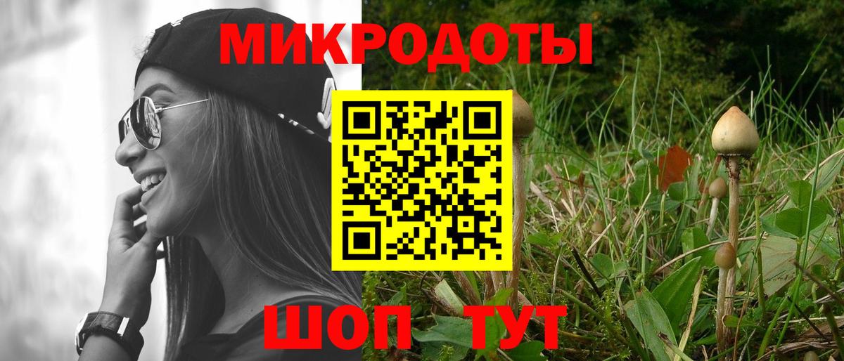 Псилоцибиновые грибы прущие грибы  Вход с VPN  Кимовск 